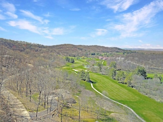 1316 S Springs Dr, Wyoming, WI 53588