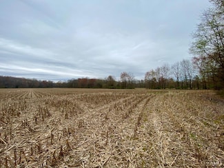 ac Moore Rd, Bethel, OH 45106
