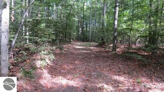 0 Valley Unit 1838996, Alden, MI 49612