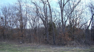 0 Kite Rd, Sni-A-bar Township, MO 64076