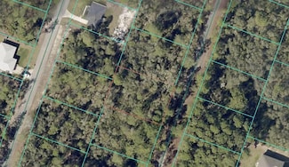 00 Fisher Trace Dr, Ocklawaha, FL 32179