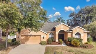 8823 Wavyedge Ct, Trinity, FL 34655