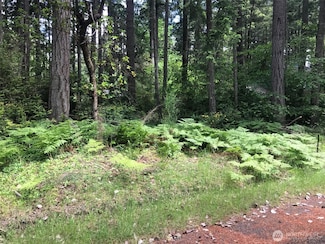 11205 110th St, Anderson Island, WA 98303