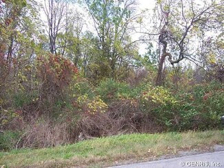 VL Watson Rd, Elba, NY 14058