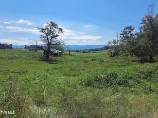 Tbd Graceland Ln, Afton, TN 37616