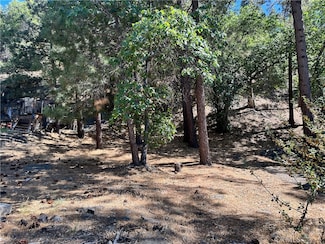 0 Heath Creek Dr, Wrightwood, CA 92397