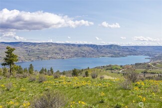 1 Bear Mountain Rd, Chelan, WA 98816
