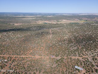 2276 Christopher Trail Parcel A Trail, Show Low, AZ 85901