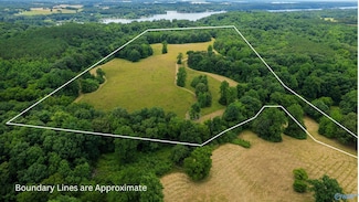 41 Acres Richter Rd, Rogersville, AL 35652
