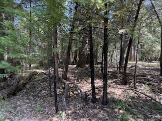 0 Timberland Unit 225088740, Foresthill, CA 95631