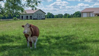 1094 SW Cr 3020, Mount Vernon, TX 75457