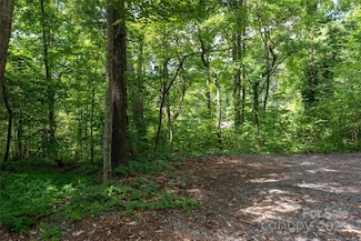 99999 Buffalo Trail Unit 86, Asheville, NC 28805