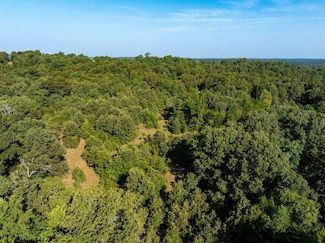 1591 Arkansas Highway 115 Unit Smithville AR 72466, Smithville, AR 72466