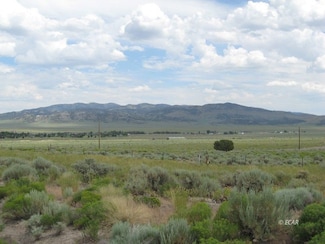 tbd Angel Lake Rd, Wells, NV 89835