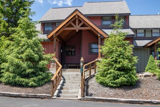 12a Treetop, Snowshoe, WV 26209