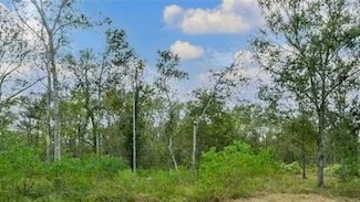 20687 Live Oak Dr, Damon, TX 77430