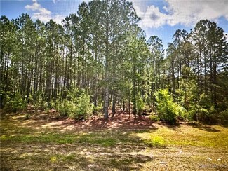 143 S Kensington Ave, Lecanto, FL 34442