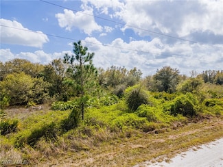 1108 Abbott Ave, Lehigh Acres, FL 33972