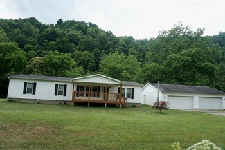 181 Lighthouse Rd, Proctor, WV 26055