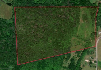 0 Dewey Hollow Rd Unit 31722107, Mainesburg, PA 16932