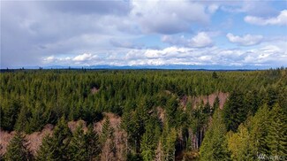 140 E Leffler Loop Rd, Grapeview, WA 98546