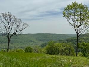 Tract F Ar 7 S, Jasper, AR 72641