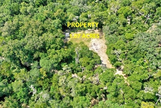 10848 E Carr Ln, Inverness, FL 34450