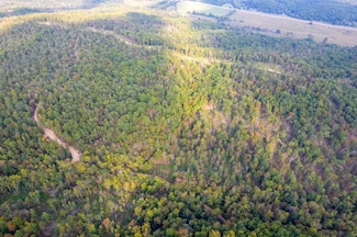000 Madison Cr 410, Fredericktown, MO 63645