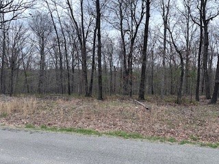 TBD Chatburn Ln, Bella Vista, AR 72715