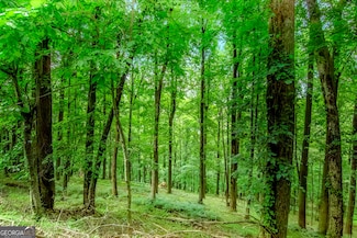 LT M165 Walnut Ridge, Ellijay, GA 30540