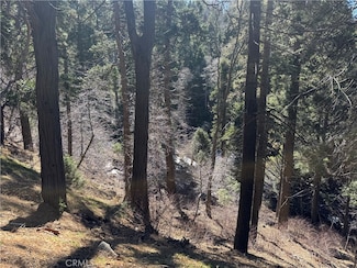 0 Sunderland Ct, Lake Arrowhead, CA 92352