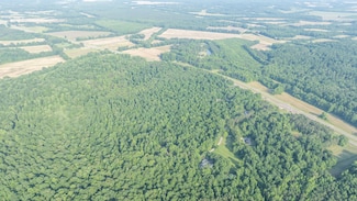0 Todd Ln, Lexington, TN 38351