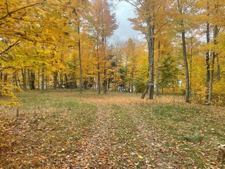 TBD University Dr, Iron River, MI 49935