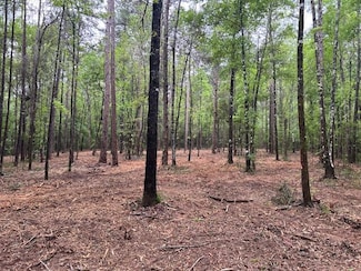 0 Rogers Ln, Foxworth, MS 39483