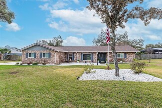 4207 Brooke Dr, Valrico, FL 33594