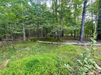 1 Indian Ridge Rd, Cairo, NY 12413