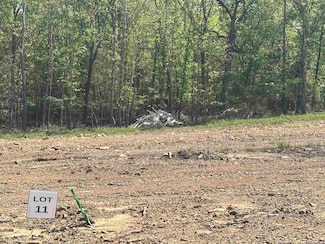 Lot 11 Madeleine Cir, Austin, AR 72007