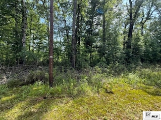 0 & 0 Masonic Rd, Farmerville, LA 71241