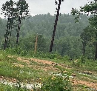 410 Madison St, Millcreek, MO 63645