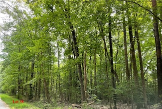 Lot 38 Wicomico Dr, Heathsville, VA 22473