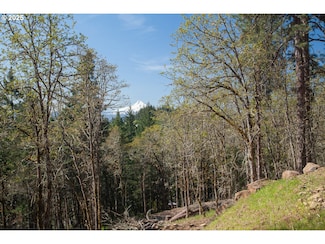 0 Cox Rd, Whitesalmon, WA 98672
