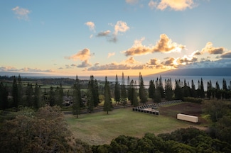 221 Plantation Club Dr, Lahaina, HI 96761