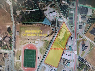 103 Bert Martin Rd, Mount Olive, NC 28365