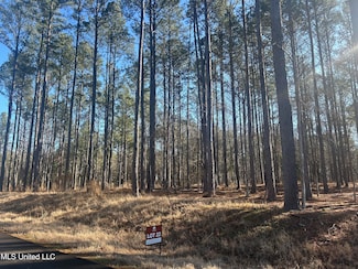 0 Springwood Trail Unit 4103021, Flora, MS 39071