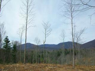 0 Rae Ellen Ln Unit 273727, Big Island, VA 24526
