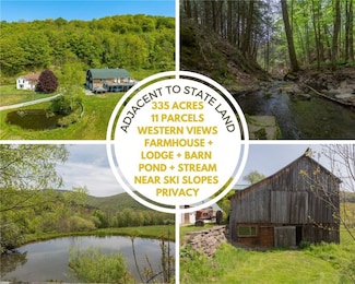14 Armstrong Rd, Hardenburgh, NY 12406