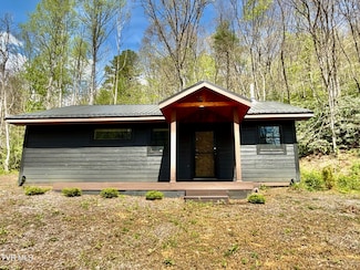 41/Ac Tbd Roan Creek Rd Unit 2, Butler, TN 37640