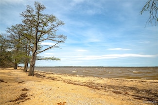 374 James River Overview, Spring Grove, VA 23881