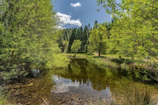7250 Mitchell Mill Rd, Wilseyville, CA 95257