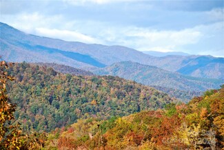 1200 Arcadia Falls Way Unit 110, Black Mountain, NC 28711